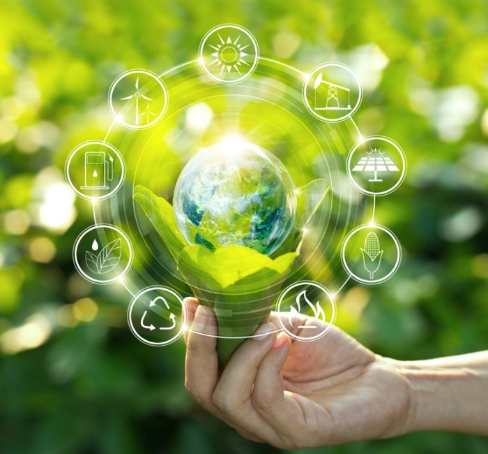 Environmental-Sustainability-Examples-Tips-to-Implement-Them